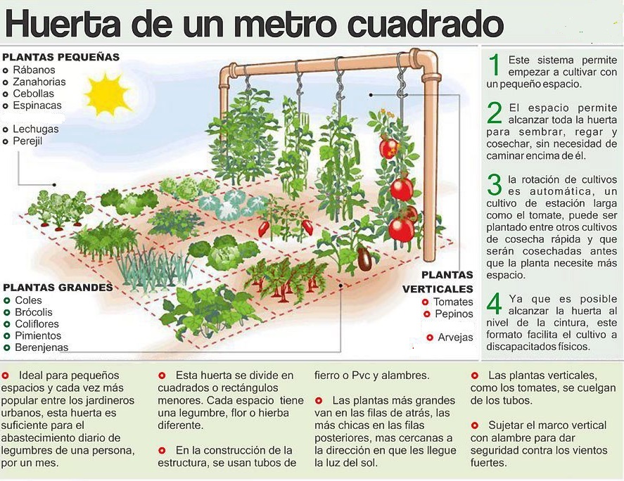 Una Huerta en casa