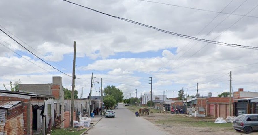 Pitbull atacó a un niño y mató a la mascota de la familia cuando quiso defenderlo