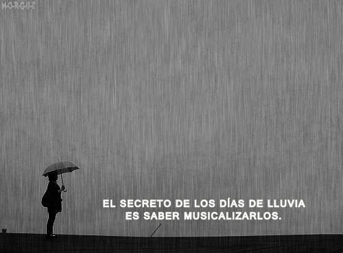 FRASE DE HOY...