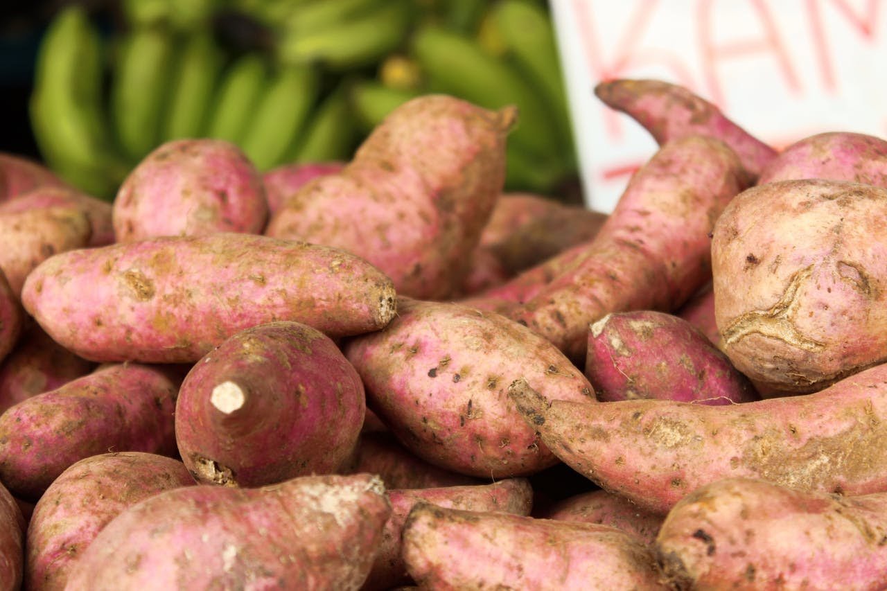  Llega a la ciudad una nueva edición de la Feria Regional de Batata