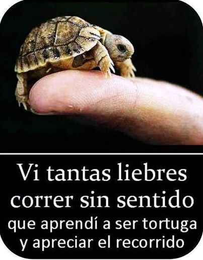 FRASE DE HOY...