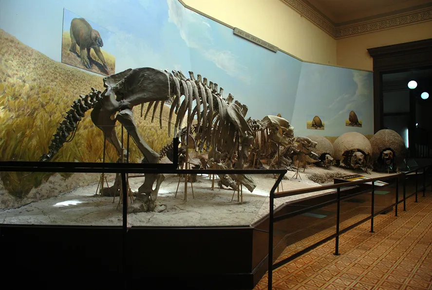 Uno por uno, cuáles son los 49 sitios platenses que abrirán en la noche de los "Museos a la Luz de la Luna"