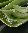 El Aloe vera