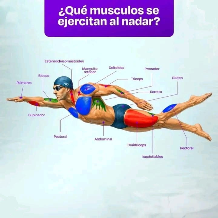 Actividad física- deporte