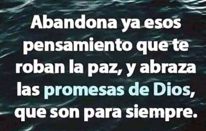 FRASE DE HOY...