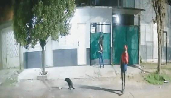 Ladrones atacaron en una casa de Altos de San Lorenzo