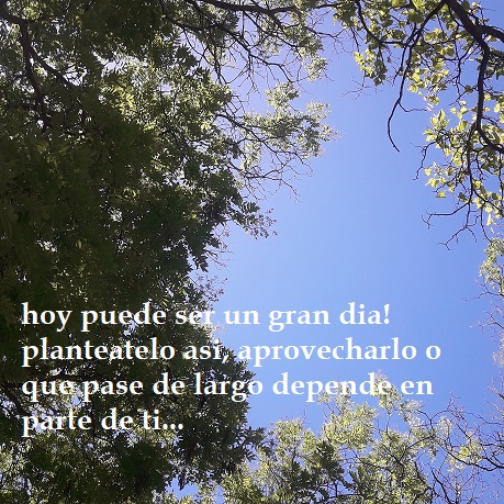 FRASE DE HOY...