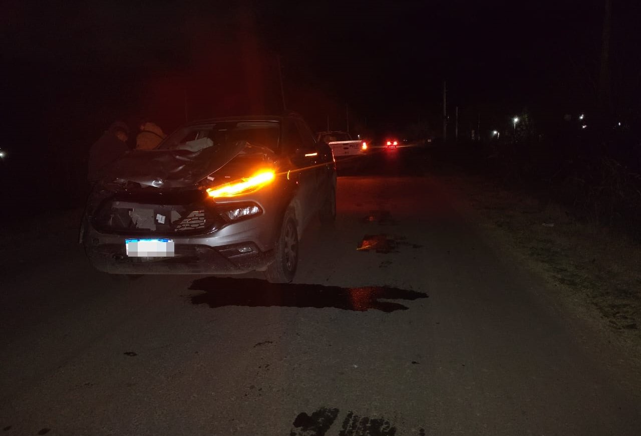 Dos hombres murieron en un accidente en Los Hornos
