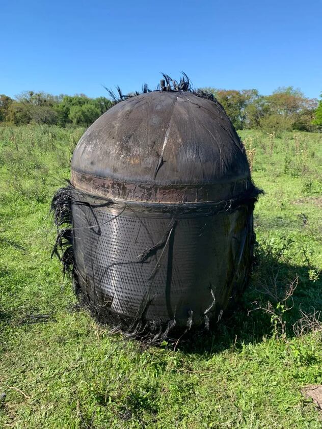  Confirmaron qué era el extraño objeto peludo hallado en un campo de Chaco