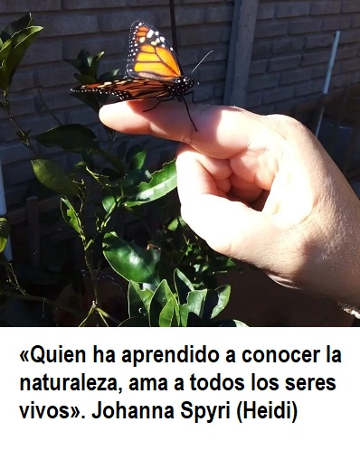 FRASE DE HOY...