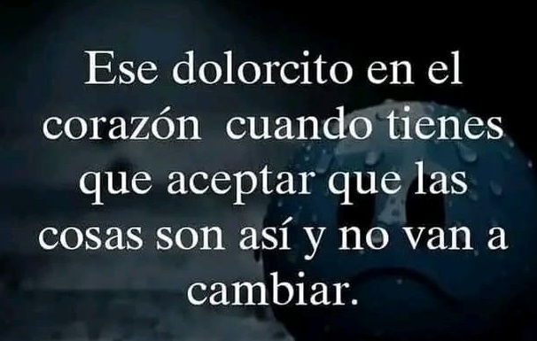FRASE DE HOY...