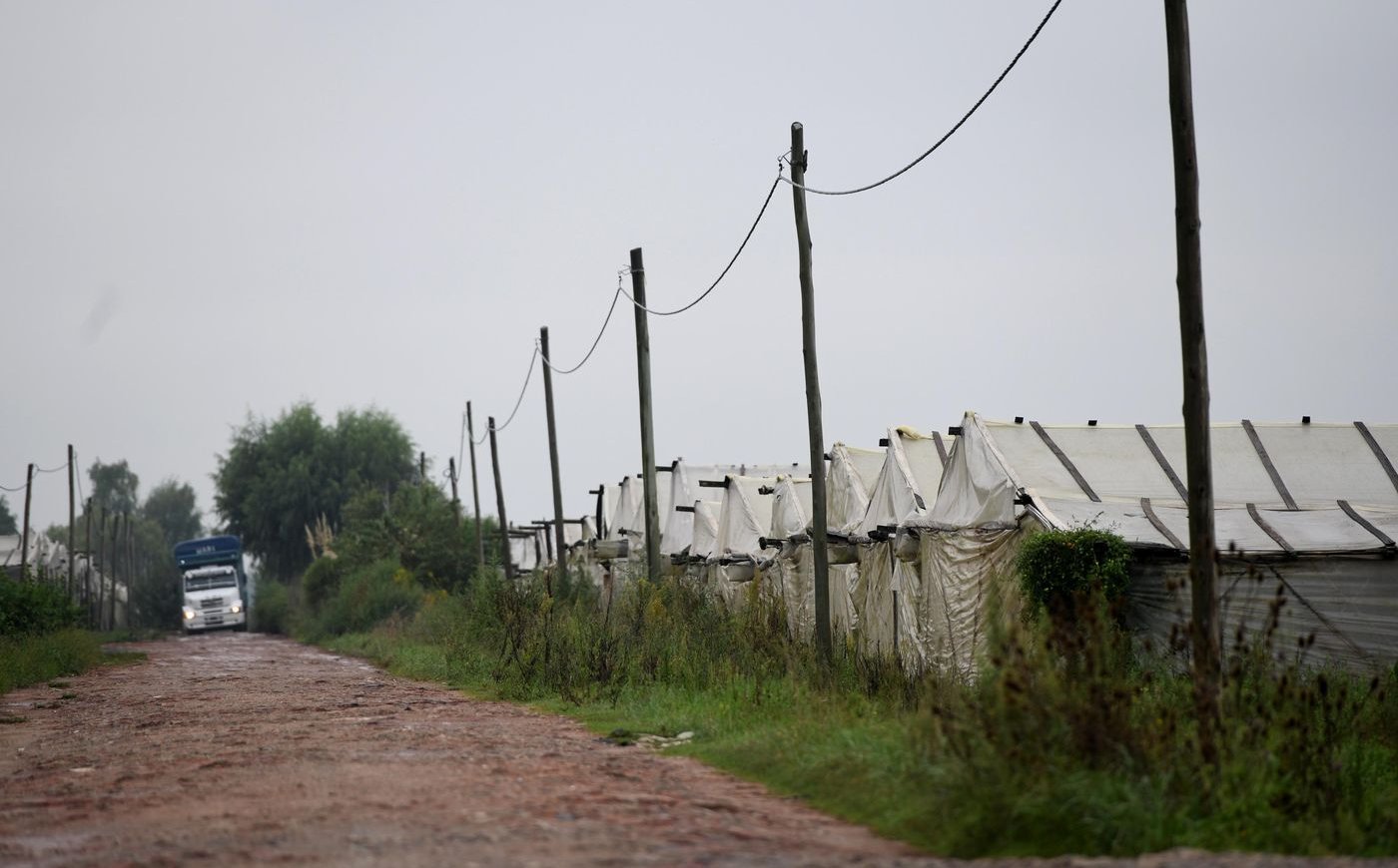 Un delincuente le robó $10 millones a un camionero en una zona rural de La Plata