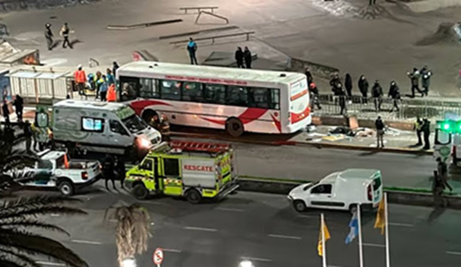 LA VTV del colectivo que atropelló y mató en Mar del Plata fue rechazada y aprobada el mismo día