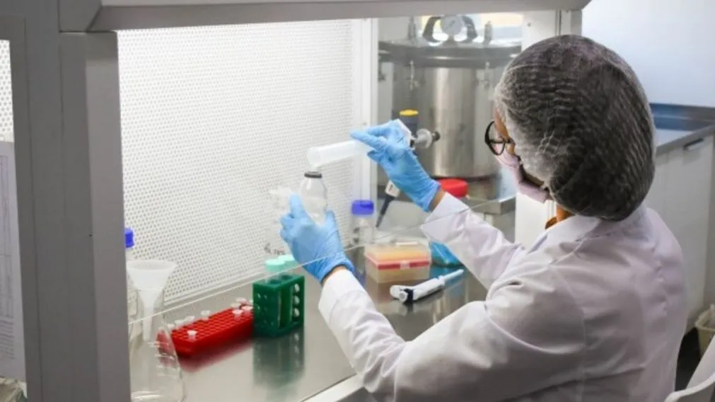 Una científica murió tras un accidente en un laboratorio en Rusia: aislaron a 200 personas por un posible contagio de peste neumónica