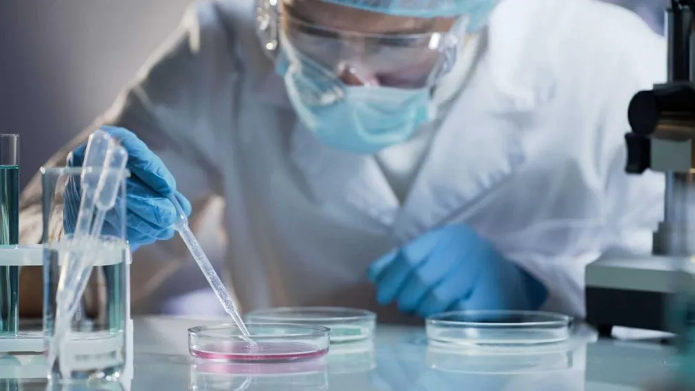 Temor por la peste neumónica: ¿De qué se trata, cómo se contagia y cuán mortífera es?