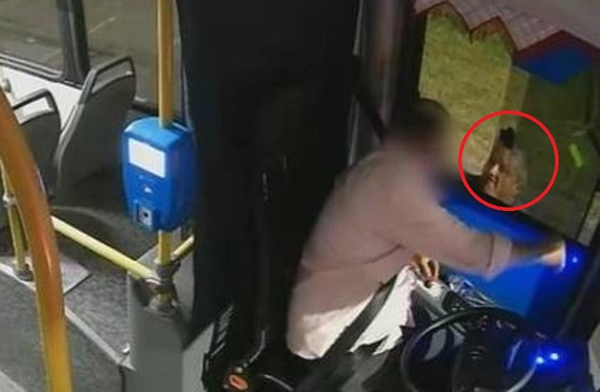 Furia al volante en La Plata: un automovilista atac&oacute; a golpes a un chofer de la l&iacute;nea 273