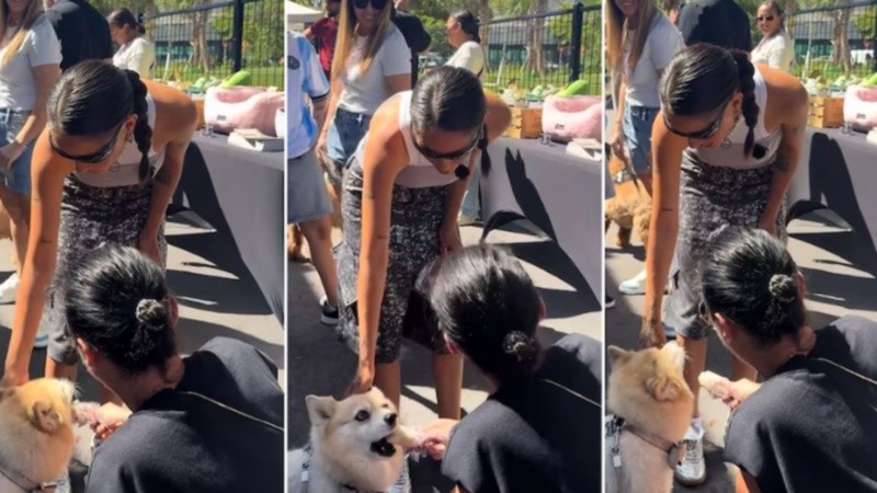 Amor animal: Mar&iacute;a Becerra particip&oacute; en una jornada de adopci&oacute;n de perros en Miami